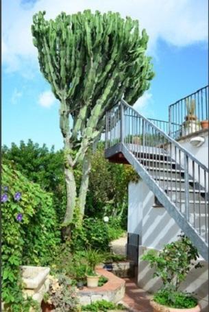 Eurialo Green Suites Belvedere (Sicily) Exterior foto