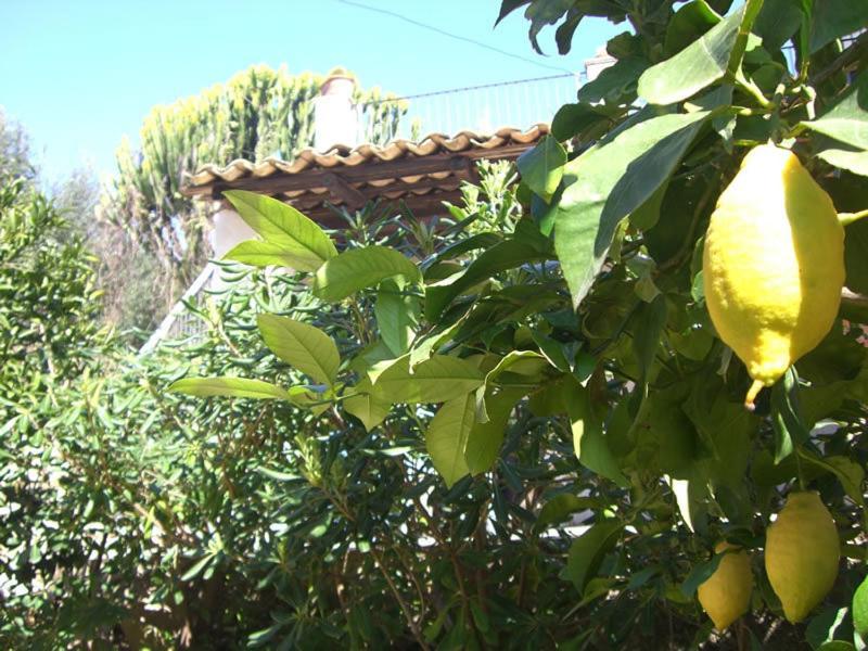 Eurialo Green Suites Belvedere (Sicily) Exterior foto