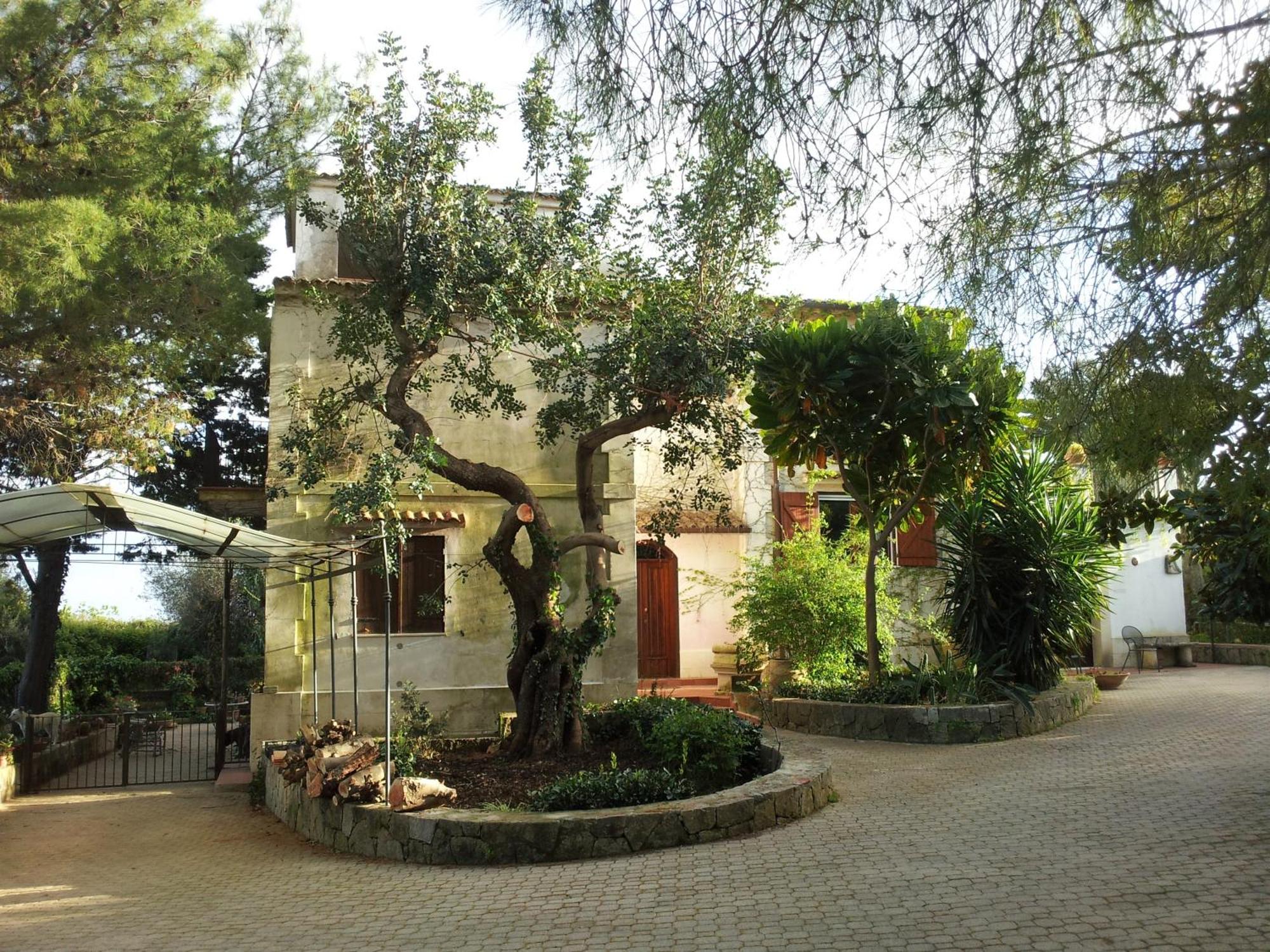Eurialo Green Suites Belvedere (Sicily) Exterior foto